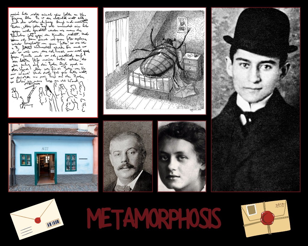 Metamorphosis moodboard collage